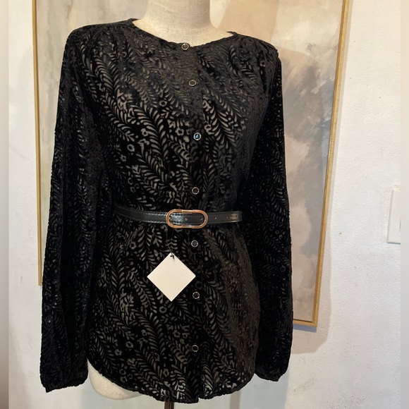💫Zara Velvet Blouse - New 💫 - Picture 7 of 12
